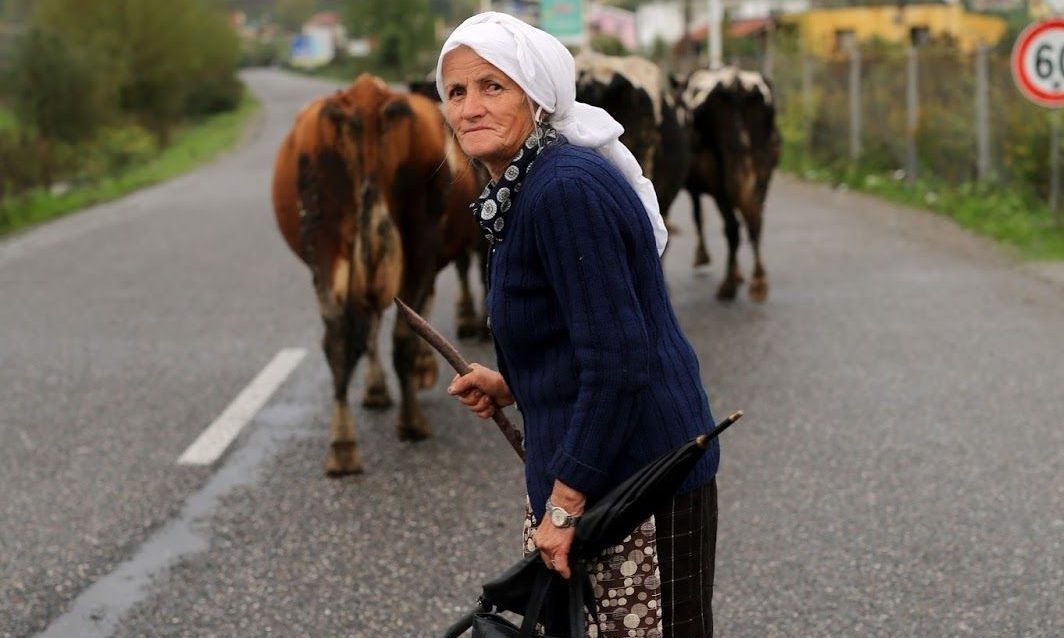 Albania2